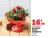 Promo Bouquet Bulle Amoretta