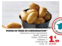 Pomme de terre de consommation