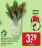 Promo BOUQUET DE TULIPES (9 tiges)