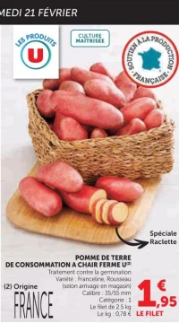 Pommes de terre de consommation à chair ferme U