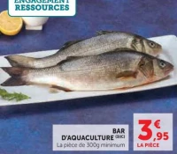 Bar d’aquaculture