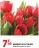 Promo Bouquet de 14 tulipes