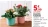 Promo PLANTES FLEURIES (Kalanchoe, rosier)