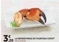 LA GROSSE PINCE DE TOURTEAU CUITE