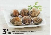 LES 6 GROSSES PALOURDES JAPONAISES