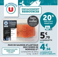 Pavé de Saumon Atlantique des Fjords de Norvège