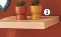 PLANTE ARTIFICIELLE ACTUEL