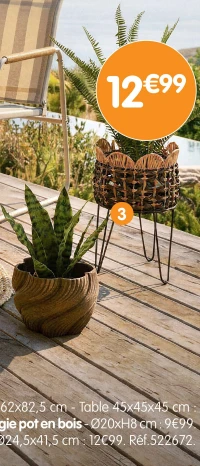 Cache-pot osier sur pied