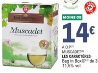 A.O.P Muscadet Les Caractères Bag in Box 3L