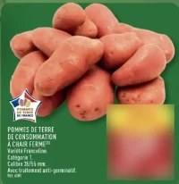 POMMES DE TERRE DE CONSOMMATION À CHAIR FERME