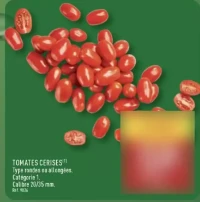 TOMATES CERISES