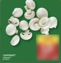 CHAMPIGNONS