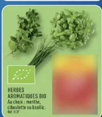HERBES AROMATIQUES BIO