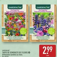 TAPIS DE SEMENCES DE FLEURS