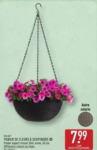 PANIER DE FLEURS À SUSPENDRE