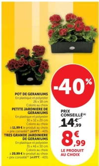 TRES GRANDE JARDINIERE DE GERANIUMS 35 x 46 x 30 cm