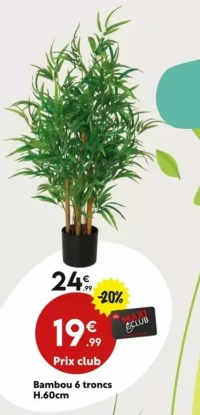 Bambou 6 troncs H.60cm