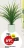 Promo Dracena 61 feuilles H.95cm