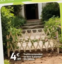 Treillis extensible en bois à planter 30x180cm
