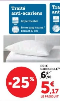 PROTECTION LITERIE GREENFIRST PROTÈGE OREILLER 65x65CM