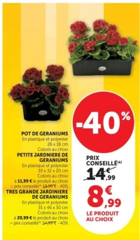 TRES GRANDE JARDINIERE DE GERANIUMS 35 x 46 x 30 cm