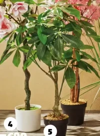 ARBRE DE LA FORTUNE Ø55X75 CM