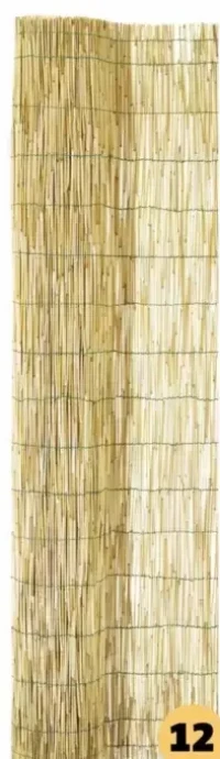 CANISSE ROSEAU DIM. 1,20X5 M, ROSEAU PELÉ