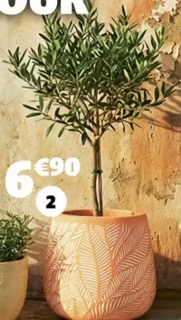 CACHE-POT TERRE CUITE Ø22XH.18 CM