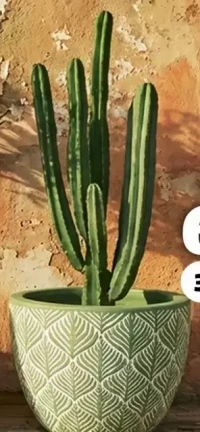 CACHE-POT TERRE CUITE Ø20XH.20 CM