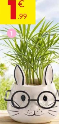 Pot tête de lapin, 8 x 8 x 8 cm, plante non fournie