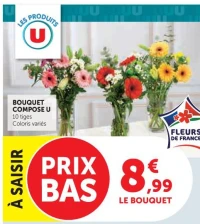 BOUQUET COMPOSE U 10 tiges