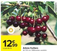 Arbres fruitiers