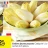 Promo Endives jeunes pousses Cat