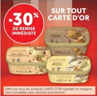 Glaces Carte D'Or