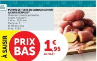 Pomme de terre de consommation à chair ferme U (Variété Franceline)