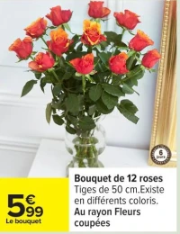 Bouquet de 12 roses