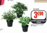 Plante artificielle Pedro