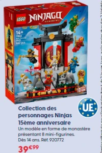 LEGO Ninjago Collection des personnages Ninjas 15ème anniversaire