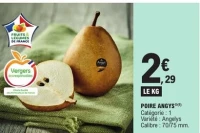 POIRE ANGYS