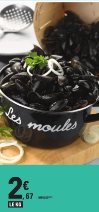 MOULES