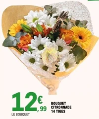 BOUQUET CITRONNADE 14 TIGES