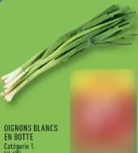 Oignons blancs en botte