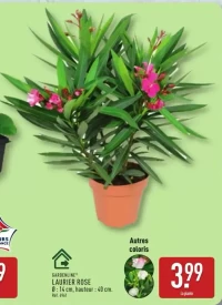 GARDENLINE® LAURIER ROSE