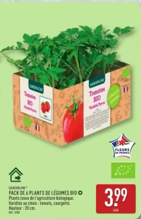 PACK DE 6 PLANTS DE LÉGUMES BIO