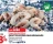 Promo CREVETTES ENTIÈRES CRUES DÉCONGELÉES