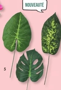 Tiges feuillages 67 cm diff rents mod les disponibles : Monstera, Dieffenbachia