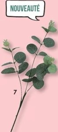 Tige Eucalyptus 3 branches 60 cm