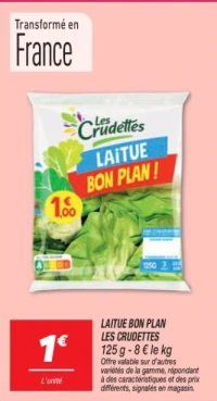 Laitue bon plan 