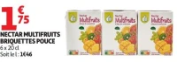NECTAR MULTIFRUITS BRIQUETTES POUCE