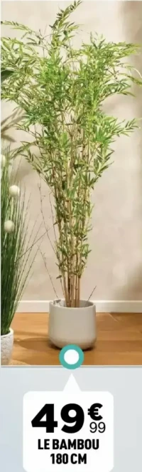 LE BAMBOU 180 CM